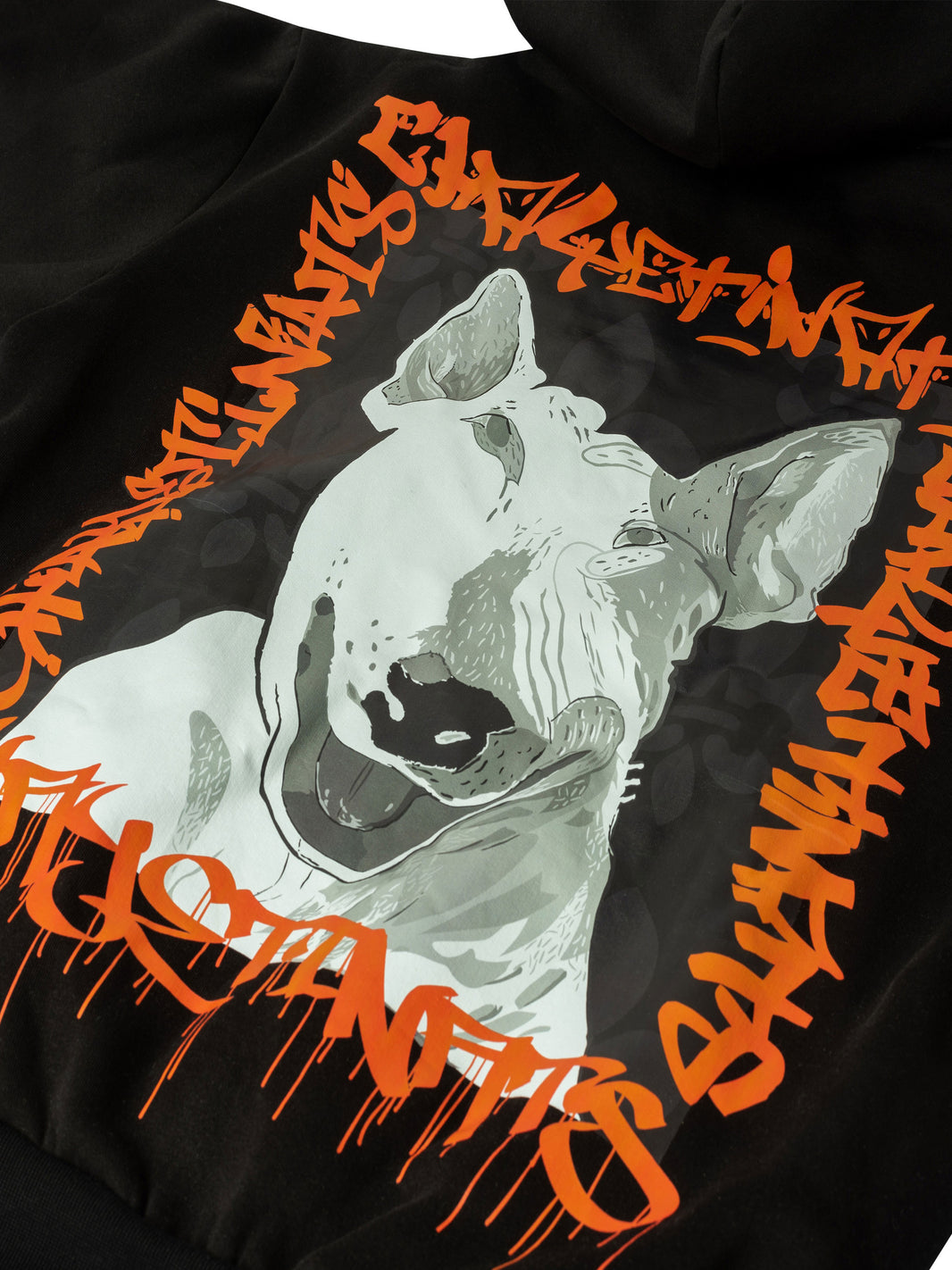 CHAYETINATS-LIKE-ASTRA-HOODIE-DETAIL.jpg__PID:3db9f875-2b2b-43a8-a3a6-0c5c68bb5298